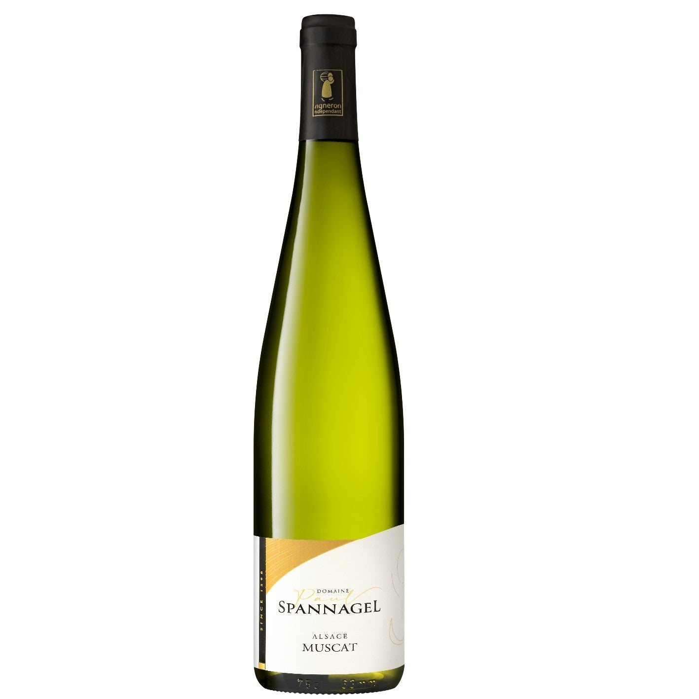 MUSCAT 2024 Tradition AOC Alsace