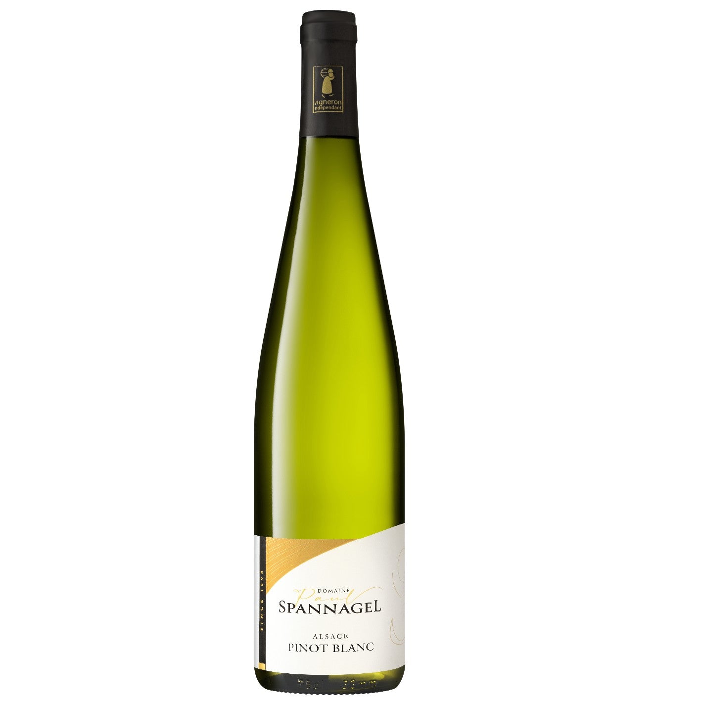 PINOT BLANC 2024 Tradition AOC Alsace