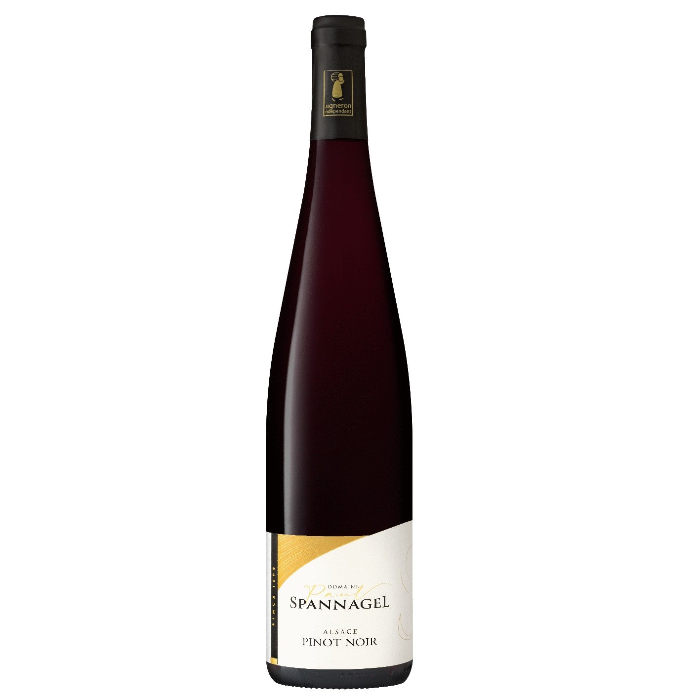 PINOT NOIR 2024 Tradition AOC Alsace